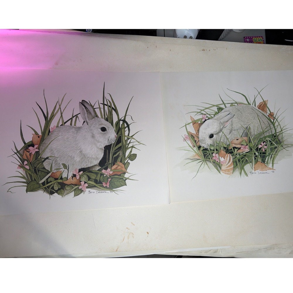 Vintage Style Beth Drobnyk Rabbit Art Prints Unisex 20x16 White Excellent